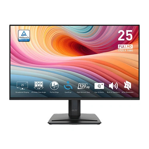 MSI PRO MP251 E2 25 Inch Business Monitor