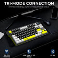 Ant Esports APEX 200 Wireless Tri Mode RGB Mechanical Gaming Keyboard
