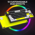 Ant Esports APEX 200 Wireless Tri Mode RGB Mechanical Gaming Keyboard